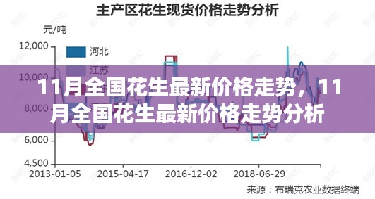 11月全國花生最新價(jià)格走勢及分析