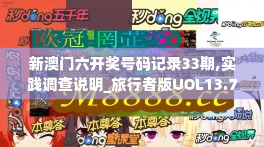 新澳門六開獎號碼記錄33期,實踐調(diào)查說明_旅行者版UOL13.76