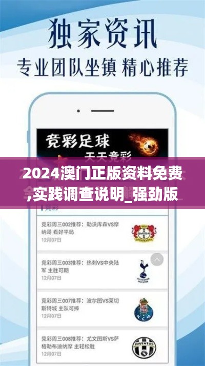 2024澳門正版資料免費,實踐調(diào)查說明_強勁版NYK13.11
