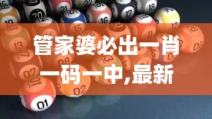 管家婆必出一肖一碼一中,最新碎析解釋說(shuō)法_精密版UJQ13.30