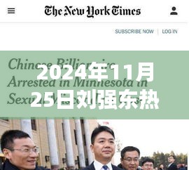 全面指南，如何撰寫關(guān)于劉強東的熱門報道（從選題到發(fā)布，適用于初學(xué)者與進階用戶，2024年11月25日熱點解析）