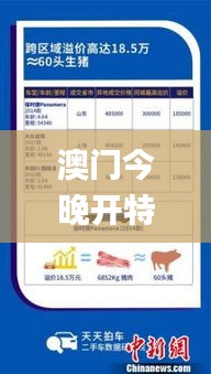 澳門今晚開(kāi)特325四不像圖,深究數(shù)據(jù)應(yīng)用策略_抓拍版JDZ13.35