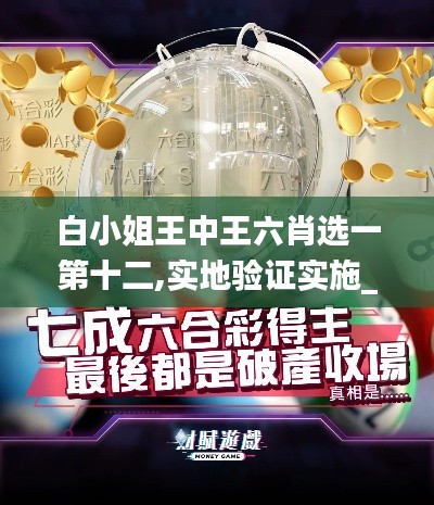 白小姐王中王六肖選一第十二,實地驗證實施_商務版BJL13.76