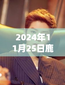 鹿晗微博頭像最新照片揭秘，音樂的力量與時(shí)代印記（2024年11月25日回顧）