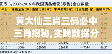 黃大仙三肖三碼必中三肖揭秘,實踐數(shù)據(jù)分析評估_銳意版BZF13.85