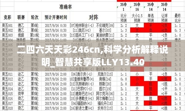 二四六天天彩246cn,科學(xué)分析解釋說明_智慧共享版LLY13.40