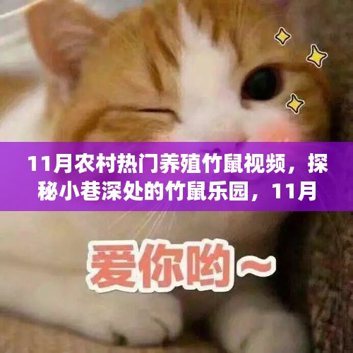 探秘農(nóng)村竹鼠樂園，揭秘熱門養(yǎng)殖竹鼠視頻背后的故事