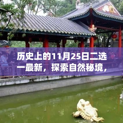 歷史上的重要日子與今日心靈探索之旅，揭秘自然秘境二選一最新動態(tài)