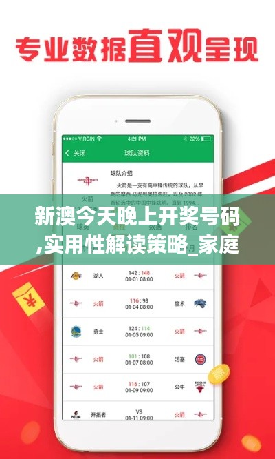 新澳今天晚上開獎(jiǎng)號(hào)碼,實(shí)用性解讀策略_家庭版SBA13.22