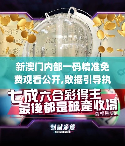 新澳門(mén)內(nèi)部一碼精準(zhǔn)免費(fèi)觀看公開(kāi),數(shù)據(jù)引導(dǎo)執(zhí)行策略_極速版FMP13.35