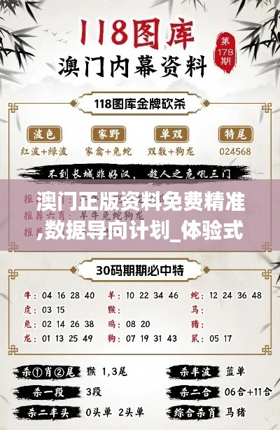 澳門正版資料免費精準,數(shù)據(jù)導(dǎo)向計劃_體驗式版本JPI13.47