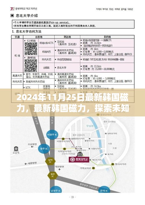 最新韓國磁力探索，小紅書帶你領(lǐng)略未知世界的神秘力量