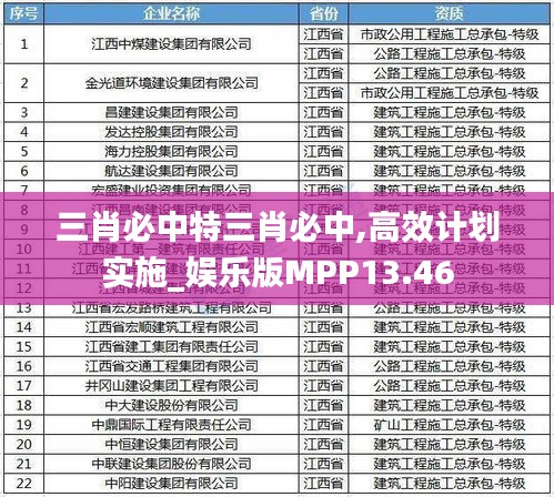 三肖必中特三肖必中,高效計(jì)劃實(shí)施_娛樂版MPP13.46
