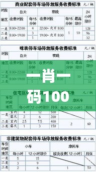 一肖一碼100%中,策略優(yōu)化計劃_快速版WZC13.83
