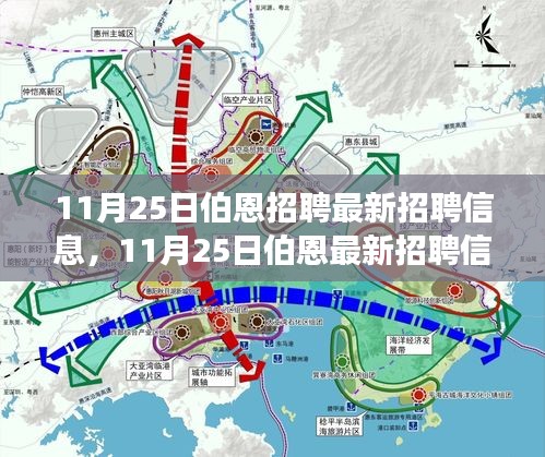 11月25日伯恩招聘最新信息匯總，職場精英的福音