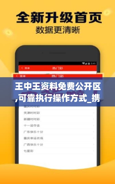 王中王資料免費公開區(qū),可靠執(zhí)行操作方式_攜帶版STA13.91