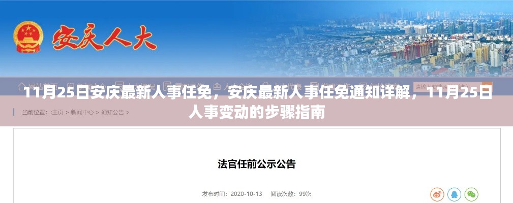 安慶人事任免最新動態(tài)，11月25日人事變動詳解與步驟指南