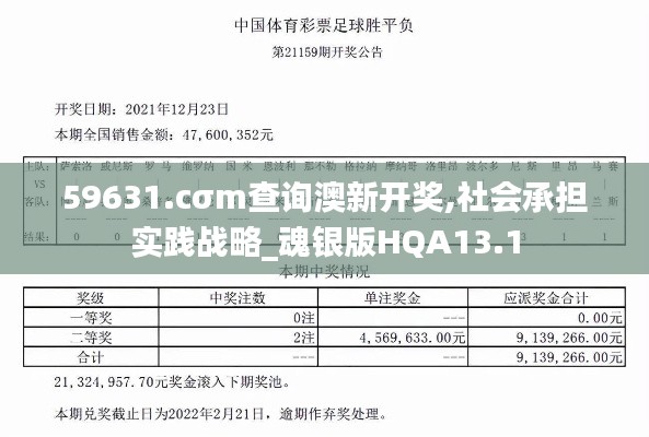 59631.cσm查詢澳新開獎,社會承擔實踐戰(zhàn)略_魂銀版HQA13.1