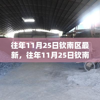 往年11月25日欽南區(qū)產(chǎn)品深度評測，特性、體驗、競爭對比及用戶群體分析