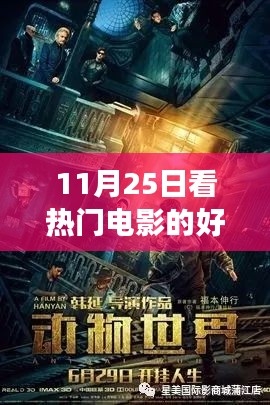 11月25日熱門電影網(wǎng)站之旅，光影中的成長與自信之源