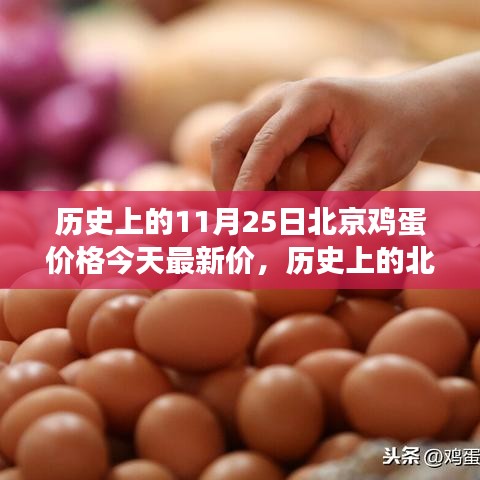 北京雞蛋價(jià)格演變與今日市場(chǎng)最新動(dòng)態(tài)分析，歷史數(shù)據(jù)與今日市場(chǎng)對(duì)比報(bào)告