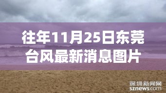 東莞臺風最新消息與美景探索，尋找內心平靜的旅程