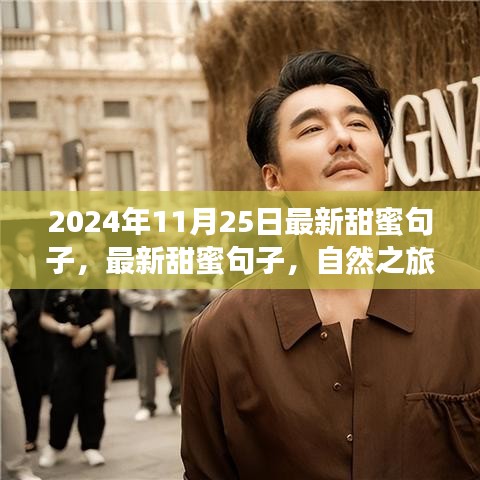 最新甜蜜句子與心靈之旅，尋找寧靜微笑的自然之旅（2024年11月25日）