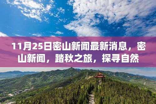 11月25日密山新聞熱點，踏秋探尋自然秘境，重拾心靈寧靜