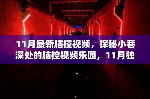 探秘小巷深處的腦控視頻樂園，獨家新體驗揭秘腦控世界（最新腦控視頻）