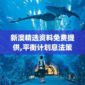新澳精選資料免費(fèi)提供,平衡計(jì)劃息法策略_無(wú)限版YJQ7.90