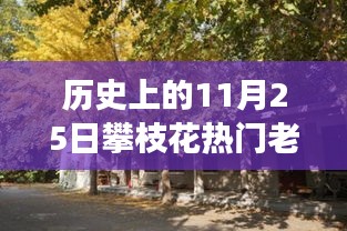 聯(lián)系我們 第782頁