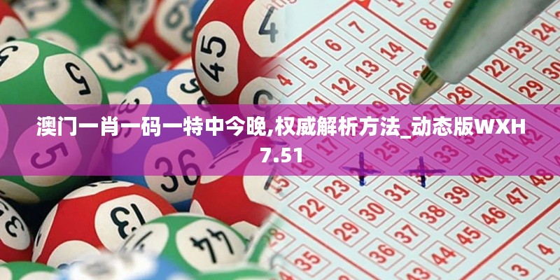 澳門一肖一碼一特中今晚,權(quán)威解析方法_動態(tài)版WXH7.51