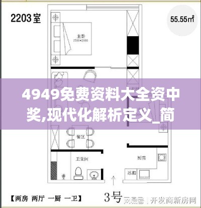 4949免費(fèi)資料大全資中獎(jiǎng),現(xiàn)代化解析定義_簡易版DER7.32