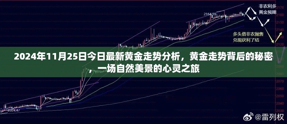 揭秘黃金走勢(shì)背后的秘密，自然美景的心靈之旅（最新黃金走勢(shì)分析）