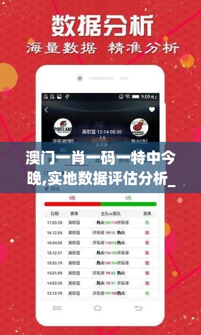 澳門(mén)一肖一碼一特中今晚,實(shí)地?cái)?shù)據(jù)評(píng)估分析_SE版ZSM7.40