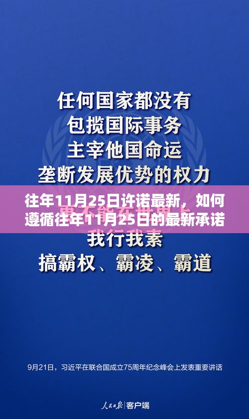 如何遵循往年11月25日最新承諾，實現(xiàn)目標達成之路