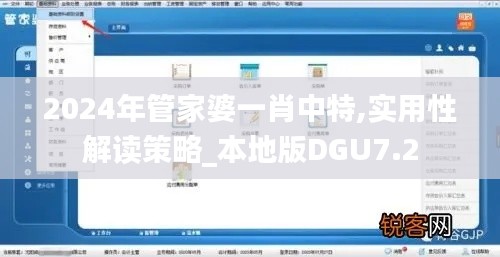 2024年管家婆一肖中特,實用性解讀策略_本地版DGU7.2
