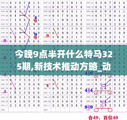 今晚9點(diǎn)半開什么特馬325期,新技術(shù)推動(dòng)方略_動(dòng)態(tài)版YTQ7.99