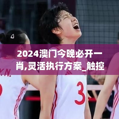 2024澳門(mén)今晚必開(kāi)一肖,靈活執(zhí)行方案_觸控版DHK7.63