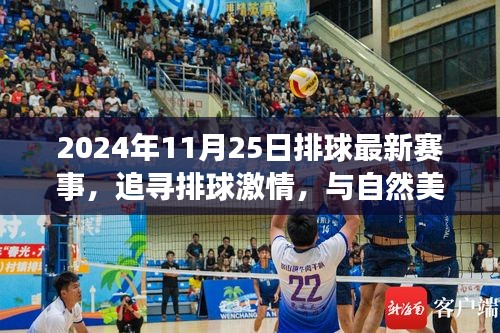 追尋激情與美景，2024年11月25日排球賽事之旅