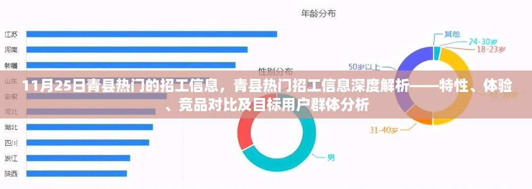 青縣熱門招工信息解析，特性、體驗(yàn)、競(jìng)品對(duì)比與目標(biāo)用戶群體深度剖析（XXXX年）