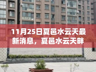 夏邑水云天畔的秋日友情之旅，最新消息與溫馨日常