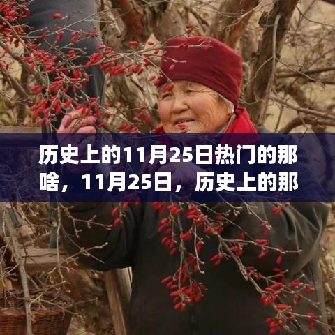 歷史上的溫馨趣事與深厚友情，聚焦11月25日的那些精彩瞬間