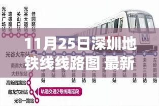 最新深圳地鐵線路圖解讀，11月25日深圳地鐵網(wǎng)絡(luò)新變化全解析
