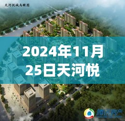 天河悅城最新動(dòng)態(tài)，2024年11月25日的溫馨日常與趣事