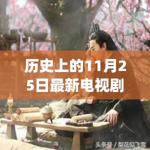 心向遠(yuǎn)方，追尋自然美景的電視劇之旅，手機(jī)在線觀看，歷史11月25日