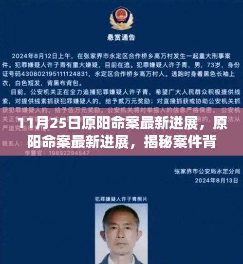 揭秘原陽(yáng)命案最新進(jìn)展，案件背后的故事浮出水面