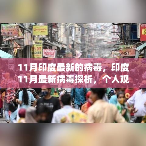 印度11月最新病毒探析，個(gè)人觀點(diǎn)與深度剖析