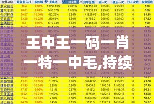 王中王一碼一肖一特一中毛,持續(xù)性實施方案_旅行版HPZ13.66