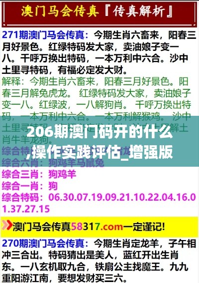 206期澳門碼開的什么,操作實(shí)踐評估_增強(qiáng)版YSV13.49